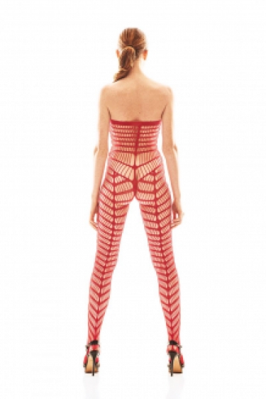 Doorschijnend bodystockings met patroon rood